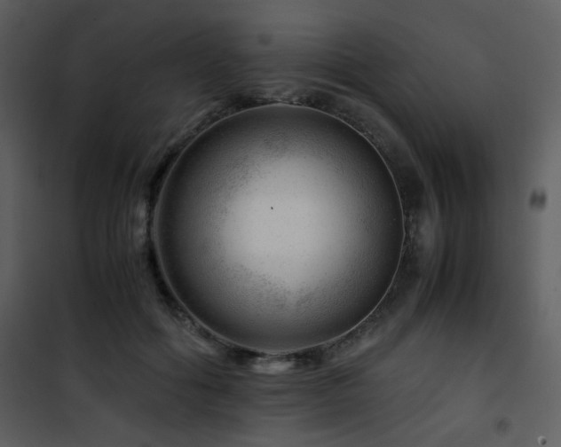X0000101960602200807181042