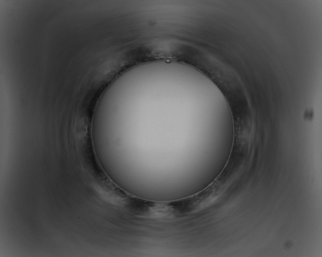 X0000101960603200807181042