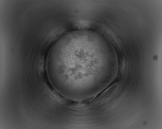 X0000101960604200807181042