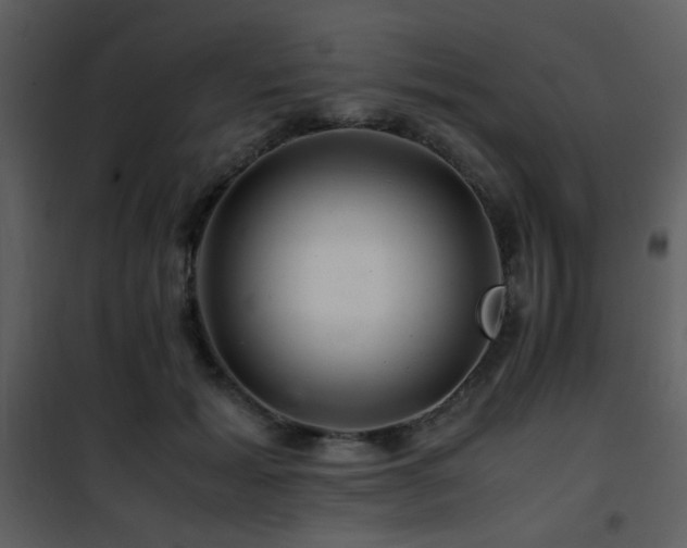 X0000101960605200807181042