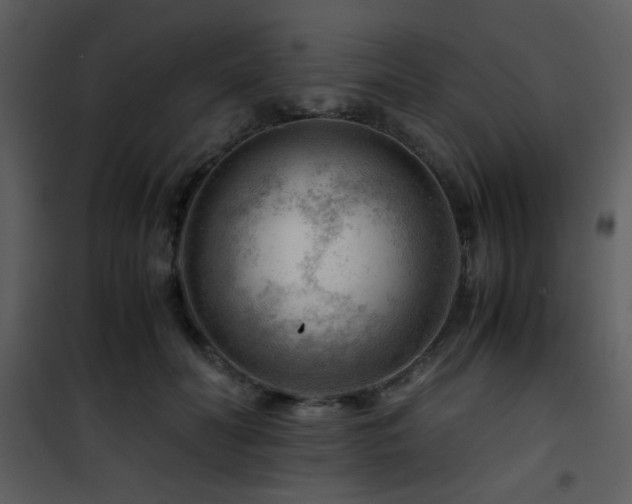 X0000101960606200807181042