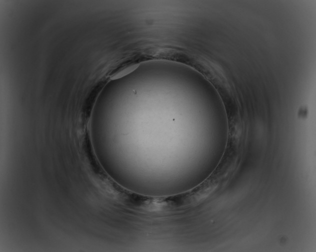 X0000101960607200807181042