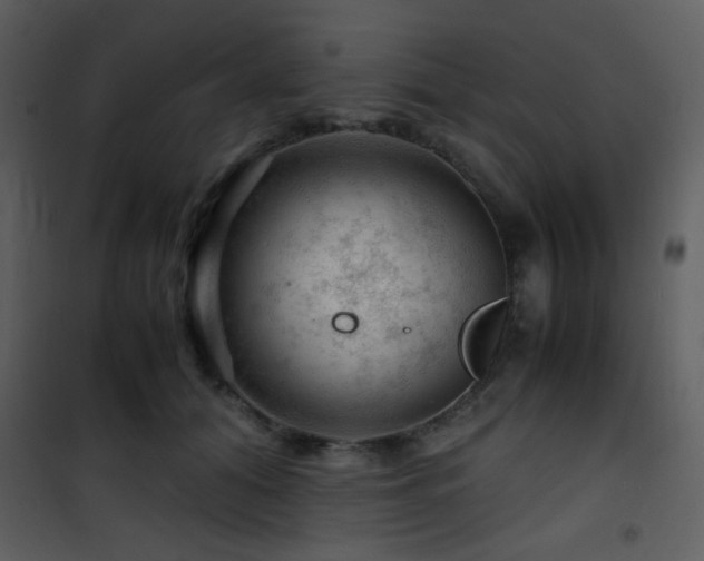 X0000101960608200807181042