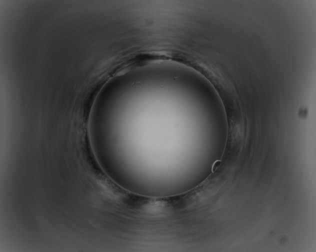 X0000101960609200807181042