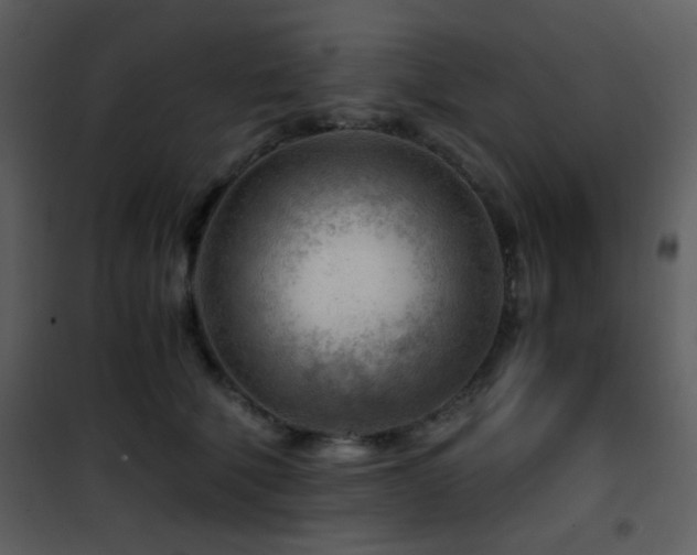 X0000101960610200807181042