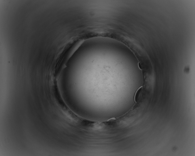 X0000101960612200807181042