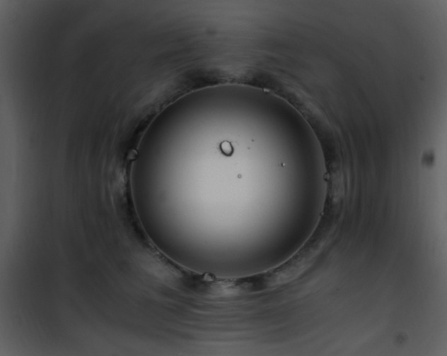 X0000101960613200807181042