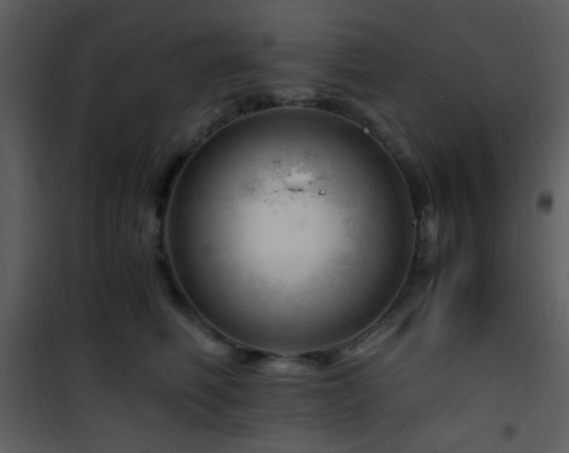 X0000101960614200807181042