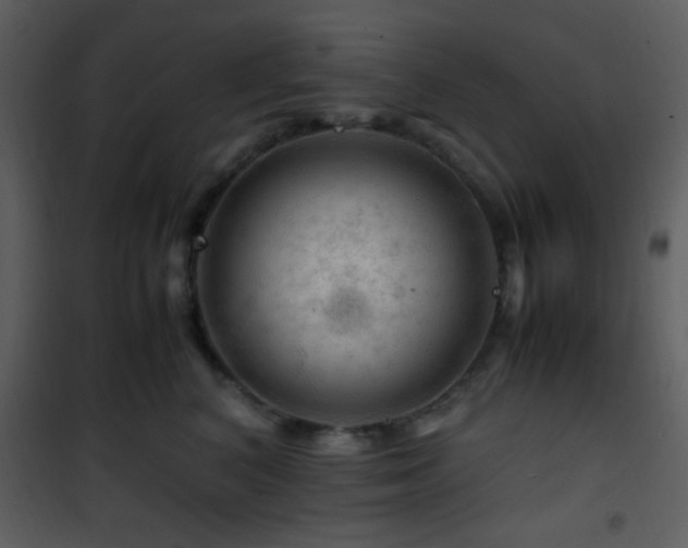 X0000101960616200807181042
