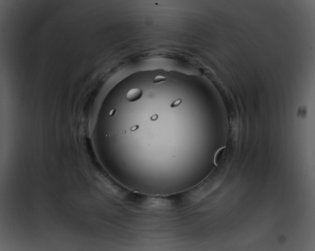 X0000101960617200807181042