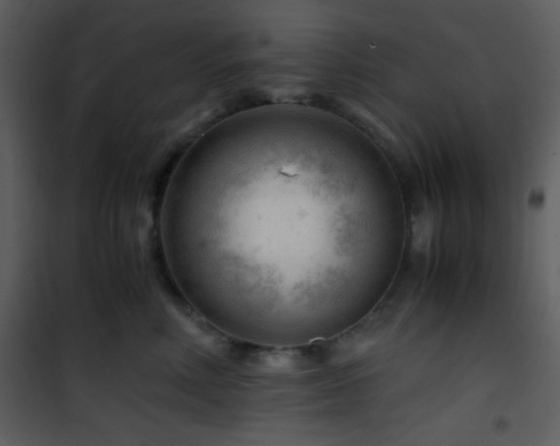 X0000101960618200807181042