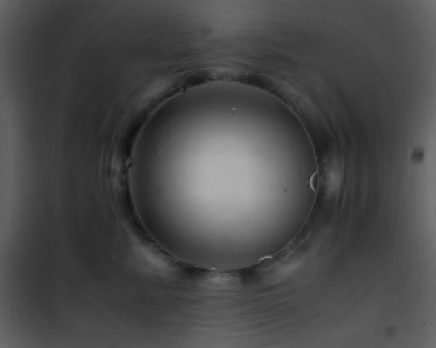 X0000101960619200807181042