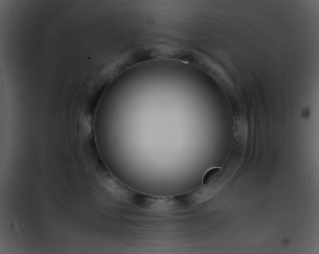 X0000101960621200807181042