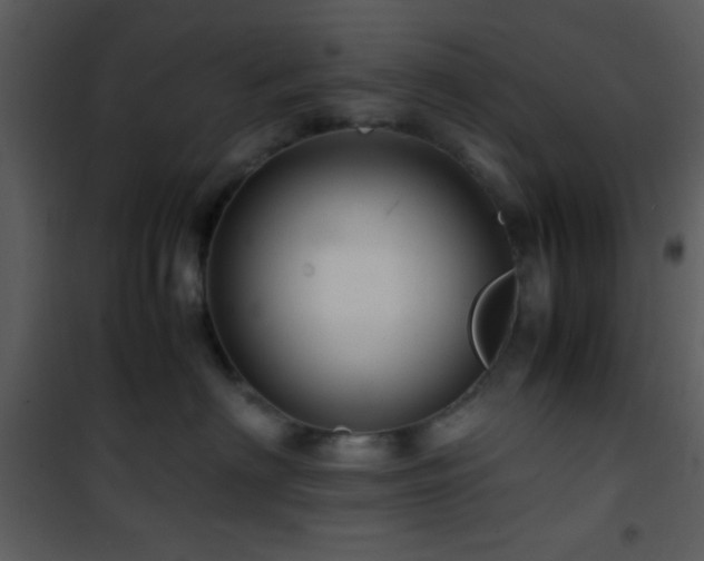 X0000101960622200807181042