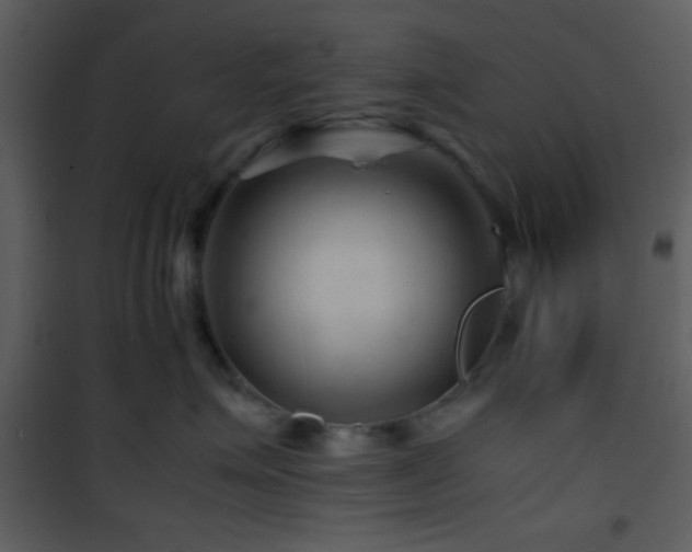 X0000101960623200807181042