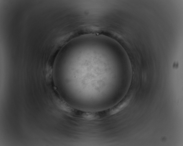 X0000101960624200807181042