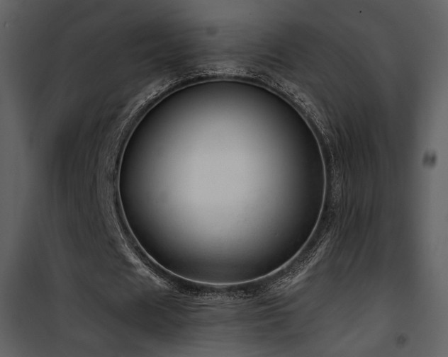 X0000101960625200807181041