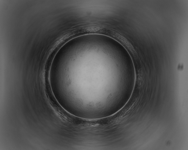 X0000101960626200807181041