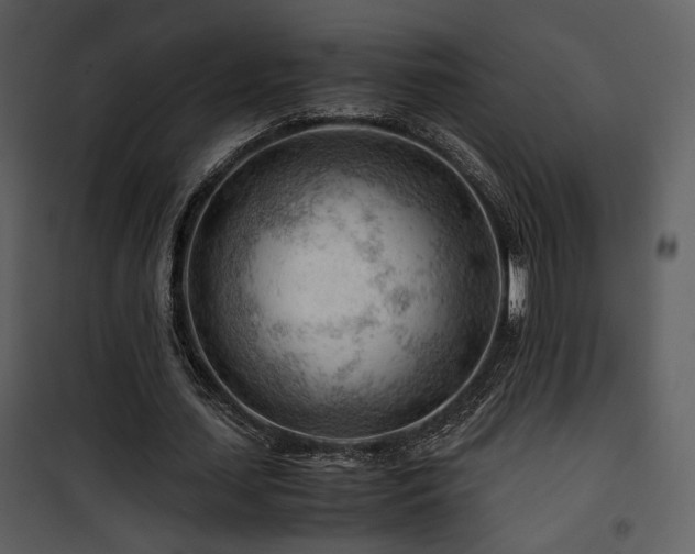 X0000101960627200807181041
