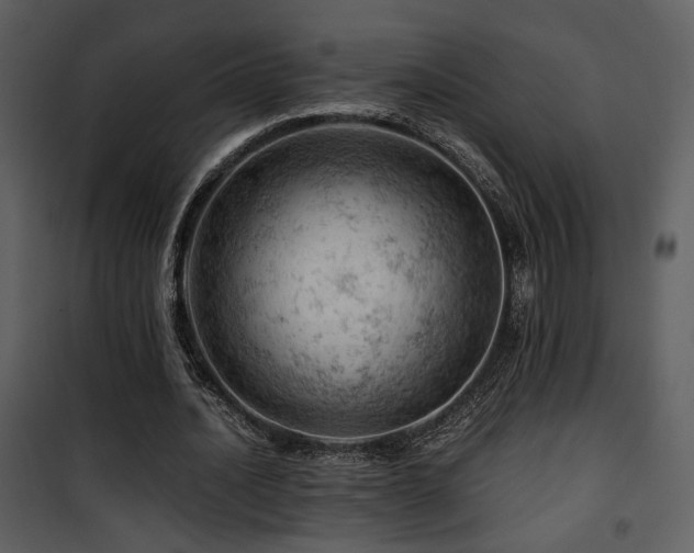 X0000101960628200807181041