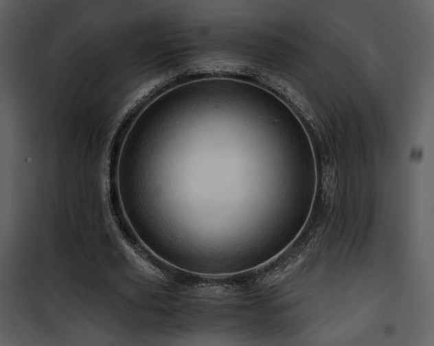 X0000101960629200807181041