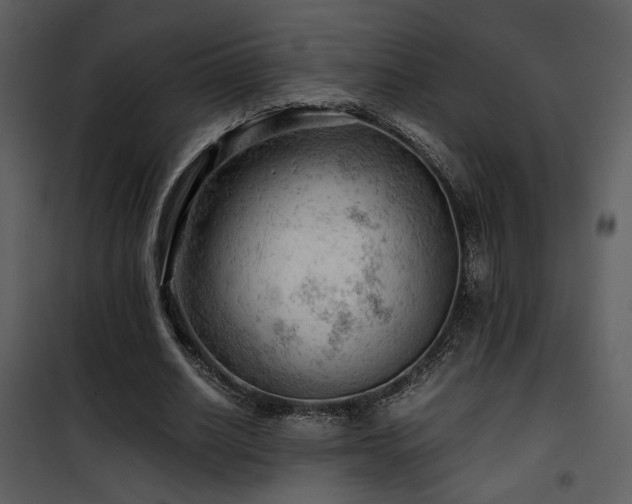 X0000101960630200807181041