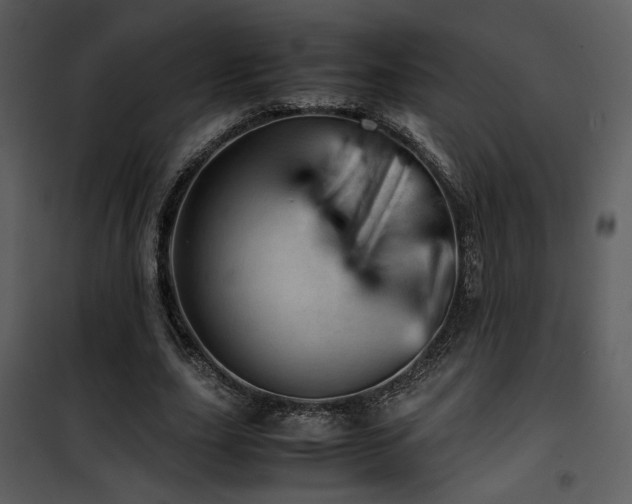 X0000101960631200807181041