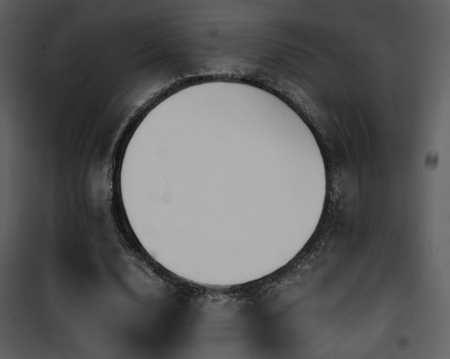 X0000101960632200807181041