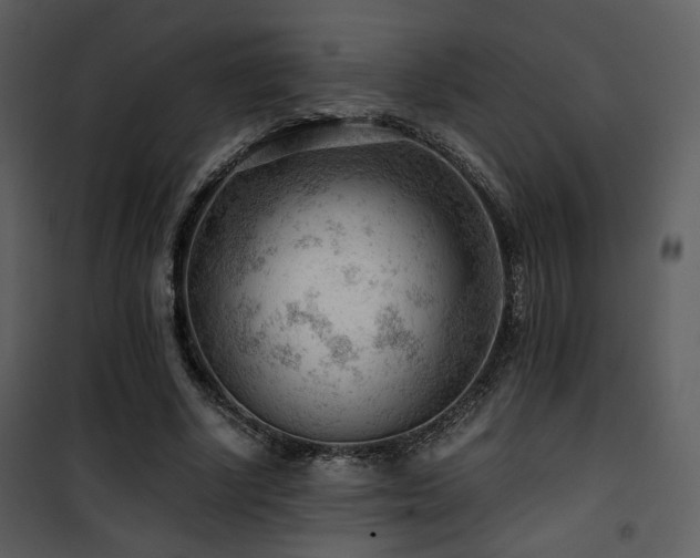 X0000101960634200807181041