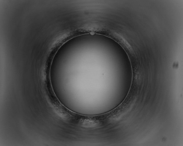 X0000101960635200807181041