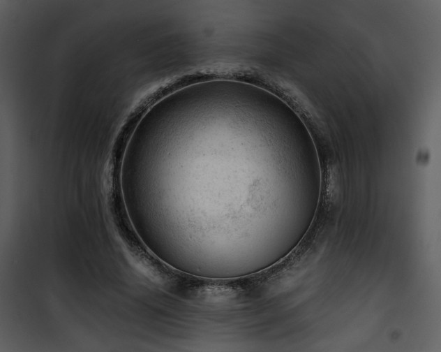 X0000101960636200807181041