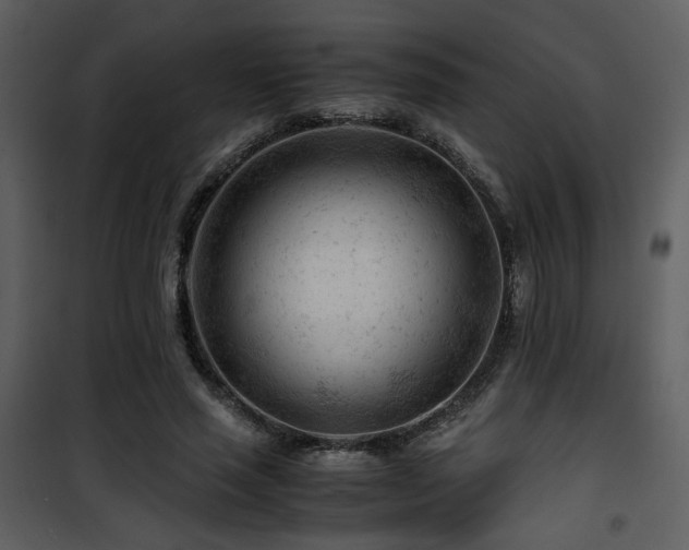 X0000101960637200807181041