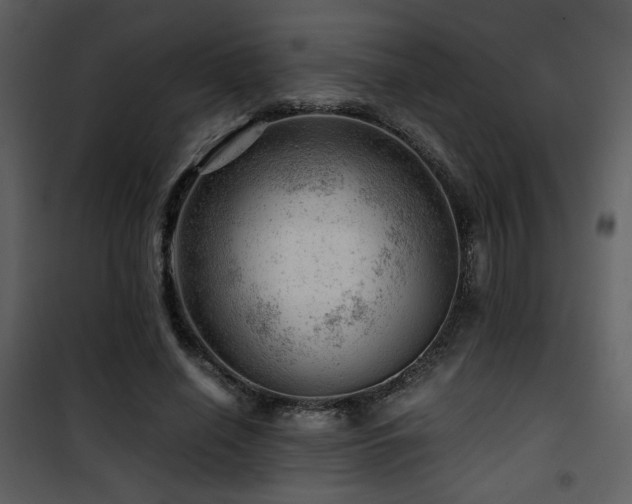 X0000101960638200807181041