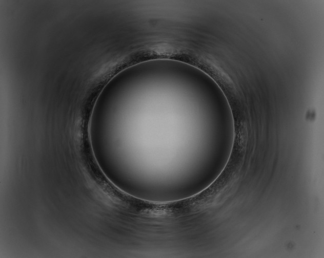 X0000101960639200807181041