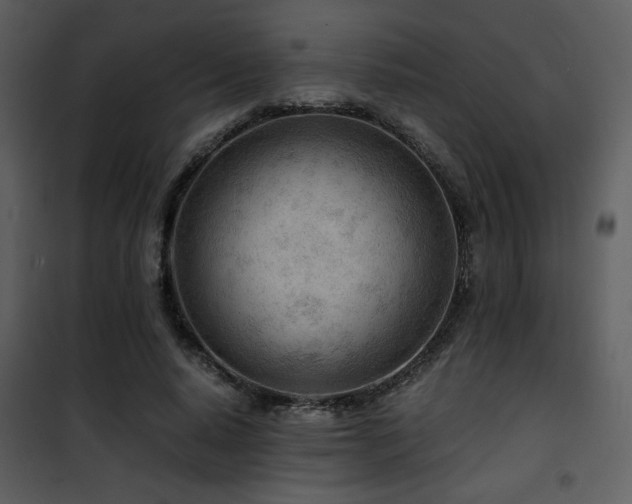 X0000101960640200807181041