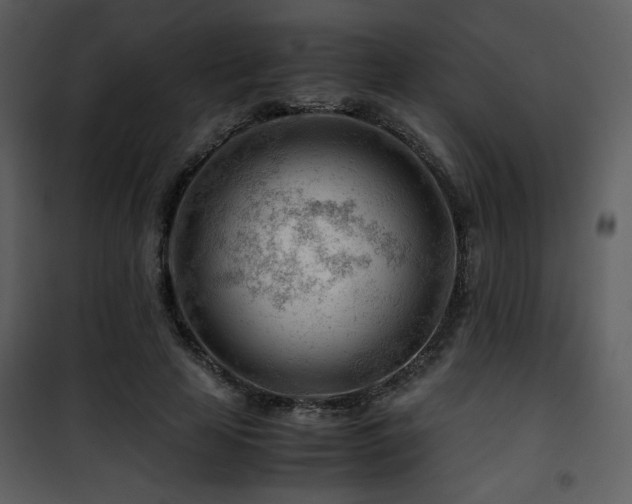 X0000101960641200807181041
