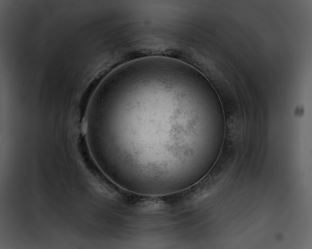 X0000101960642200807181041