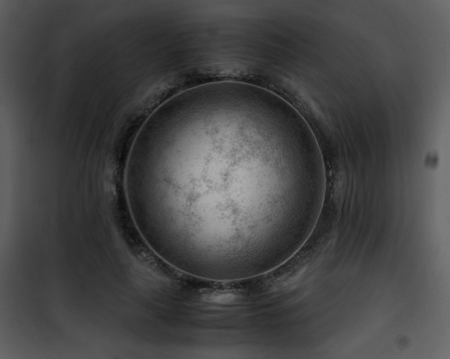 X0000101960643200807181041