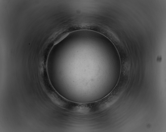 X0000101960644200807181041