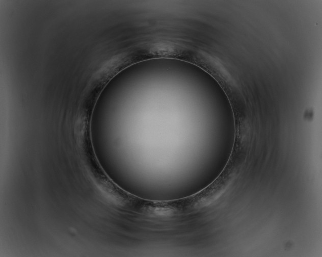 X0000101960645200807181041
