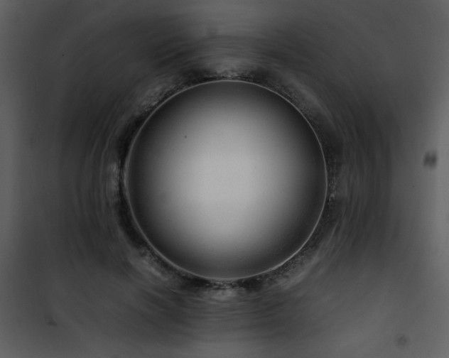 X0000101960646200807181041