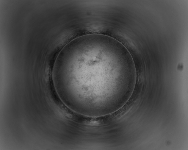 X0000101960647200807181041