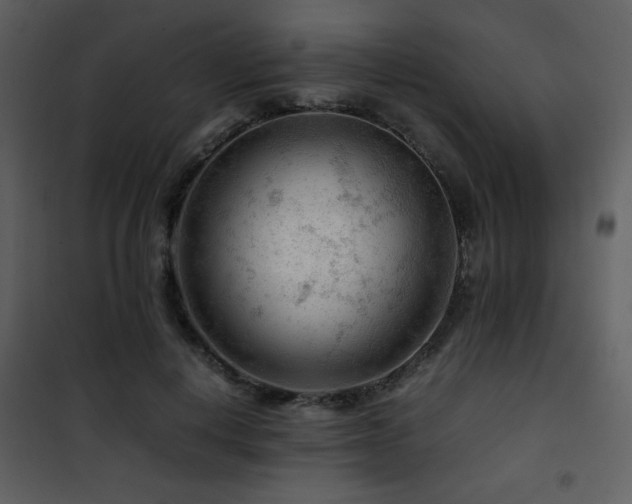 X0000101960648200807181041