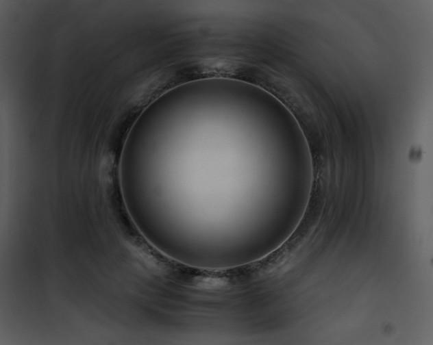 X0000101960649200807181041