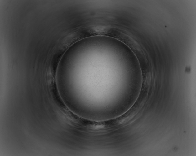 X0000101960651200807181042