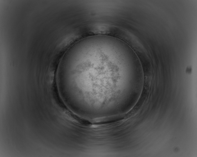 X0000101960652200807181042