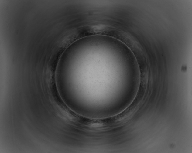 X0000101960653200807181042
