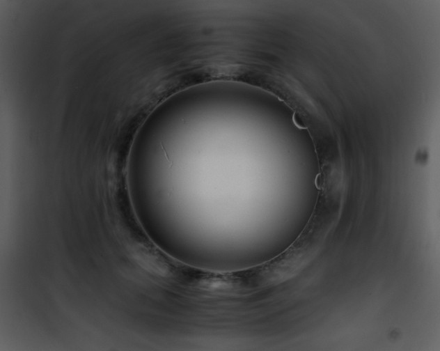 X0000101960655200807181042