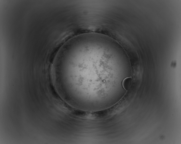 X0000101960656200807181042
