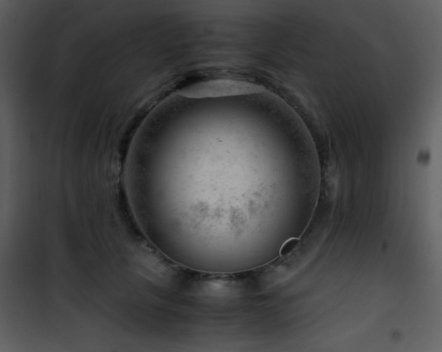 X0000101960657200807181042